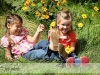 img_8080-web